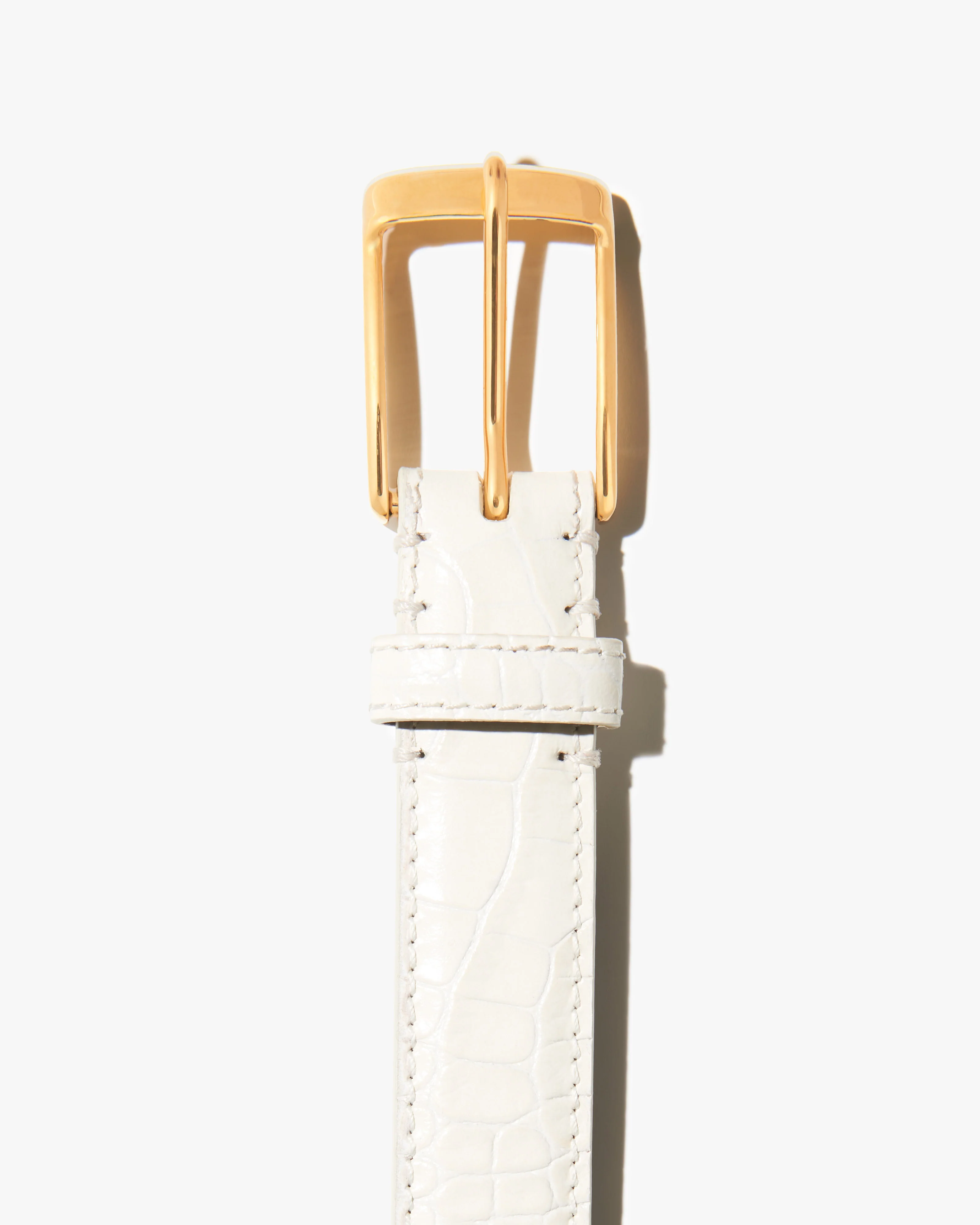 DANA BELT - Image 3