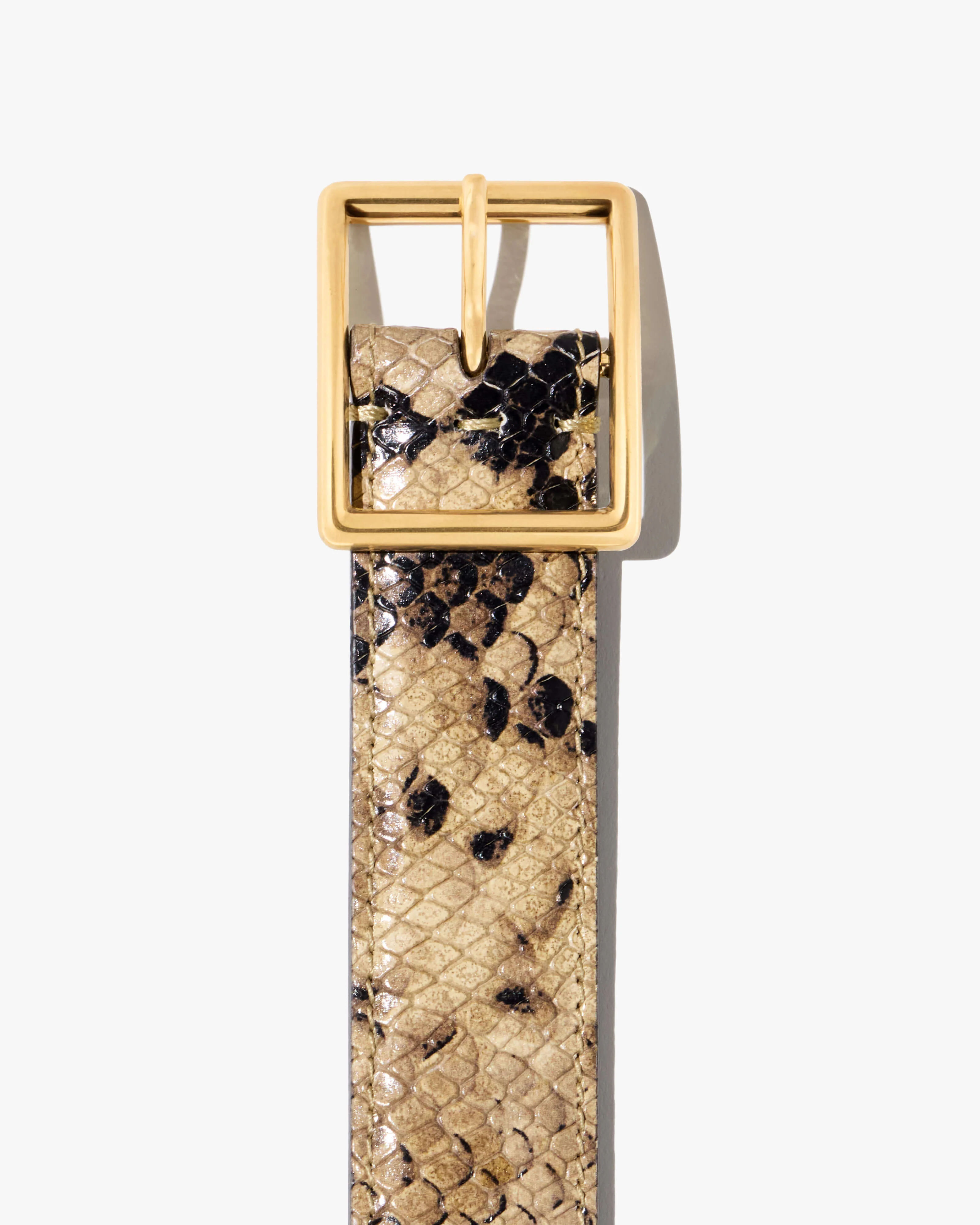 GABRIELE LEATHER BELT - Image 3